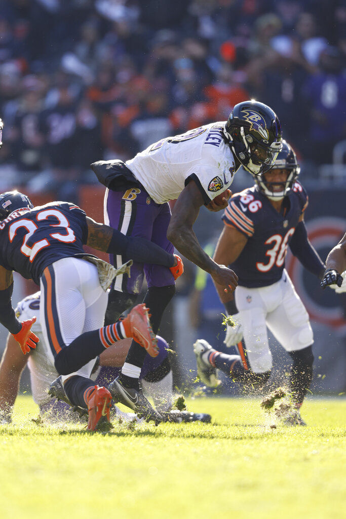 Ravens Bears Football